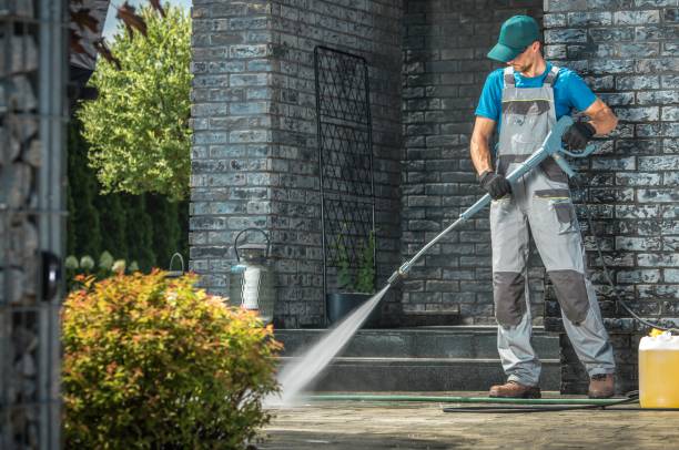 Best Solar Panel Cleaning  in Mount Vernon, NY
