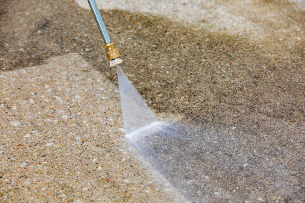 Best Driveway Pressure Washing  in Mount Vernon, NY