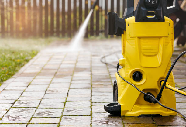 Best Animal Enclosure Cleaning  in Mount Vernon, NY